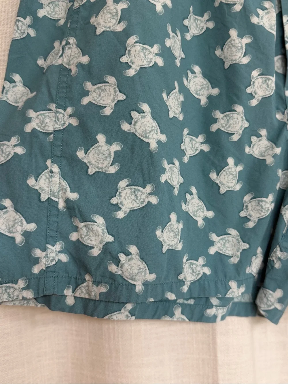 Banana Republic Teal Turtle-Print Boxers